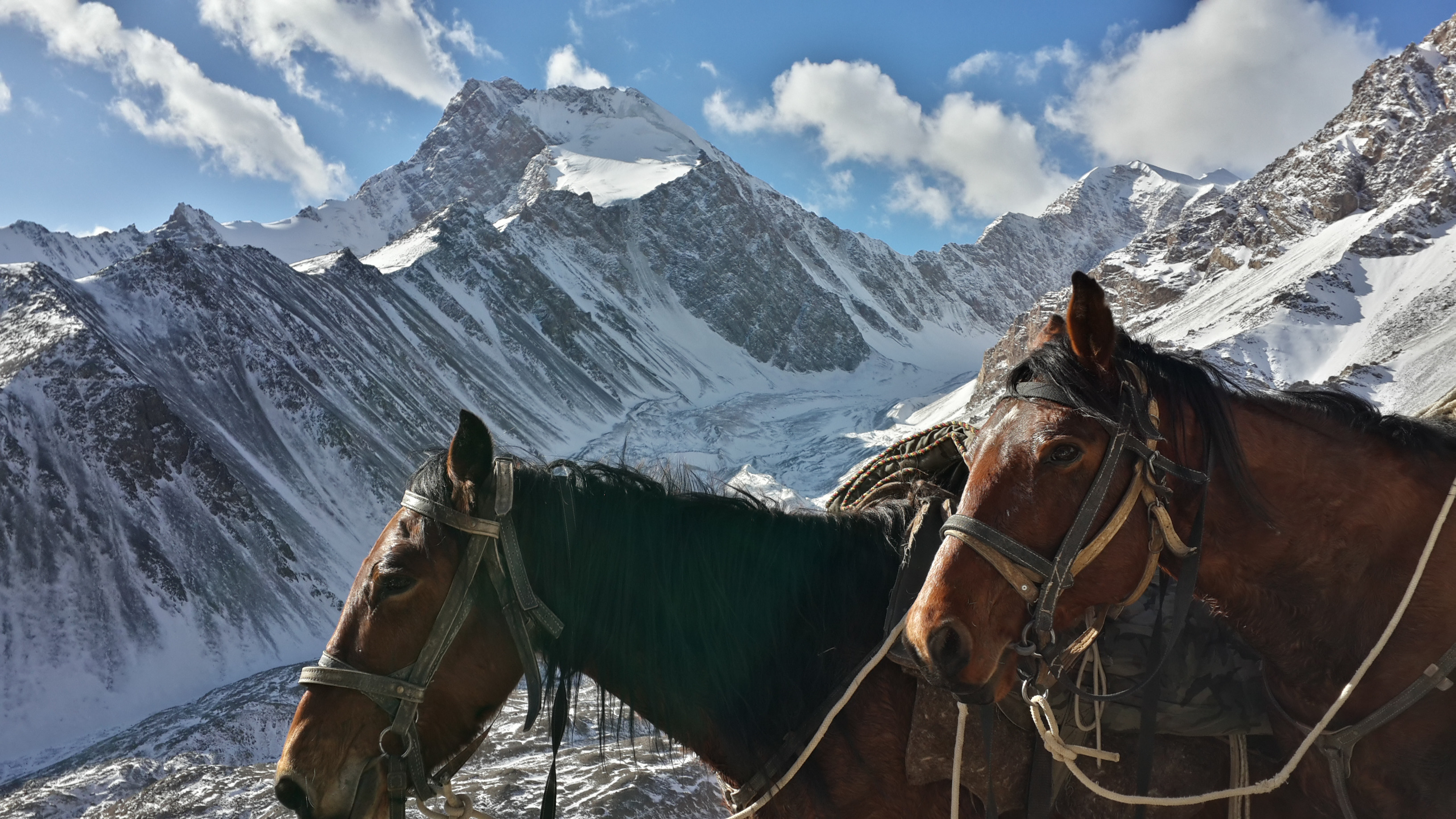 Horse rider galloping through a Kyrgyz mountain valley at golden hour