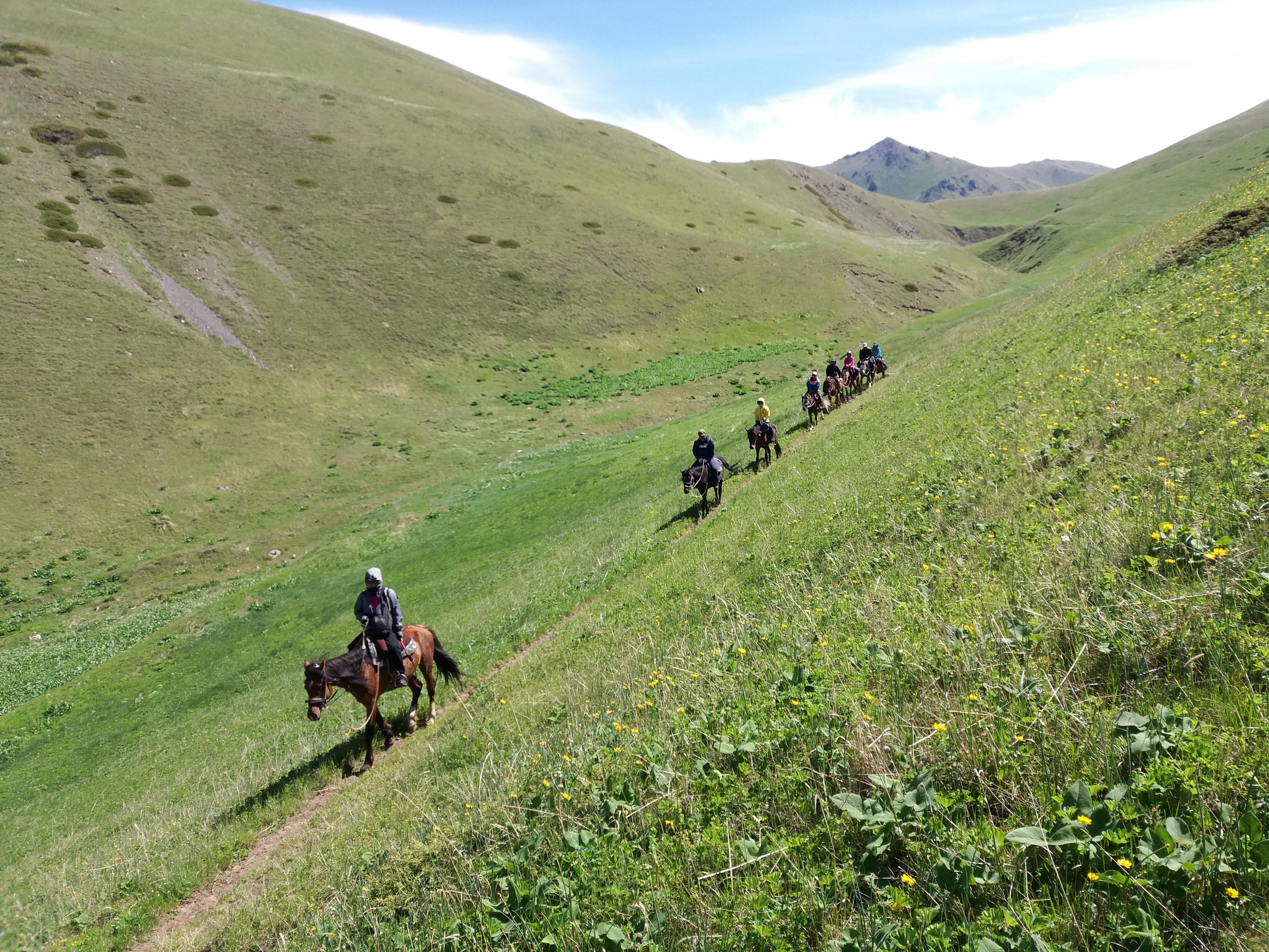Horse riding tour through Kyrgyz mountain valley with snow peaks behind